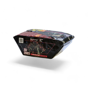 BARVA DAHLIA SIZZLING WILLOW 72 SNÍMKŮ 20MM XB2003